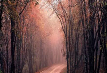 拜仁德国杯止步16强 诺伊尔生涯866场比赛首吃红卡.