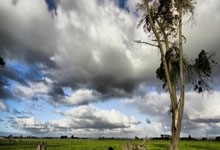 问鼎娱乐官网：[德甲]米切尔横敲助攻 赫迪拉门前铲射破门.