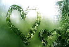 国足战巴林23人大名单出炉央视体育微博.